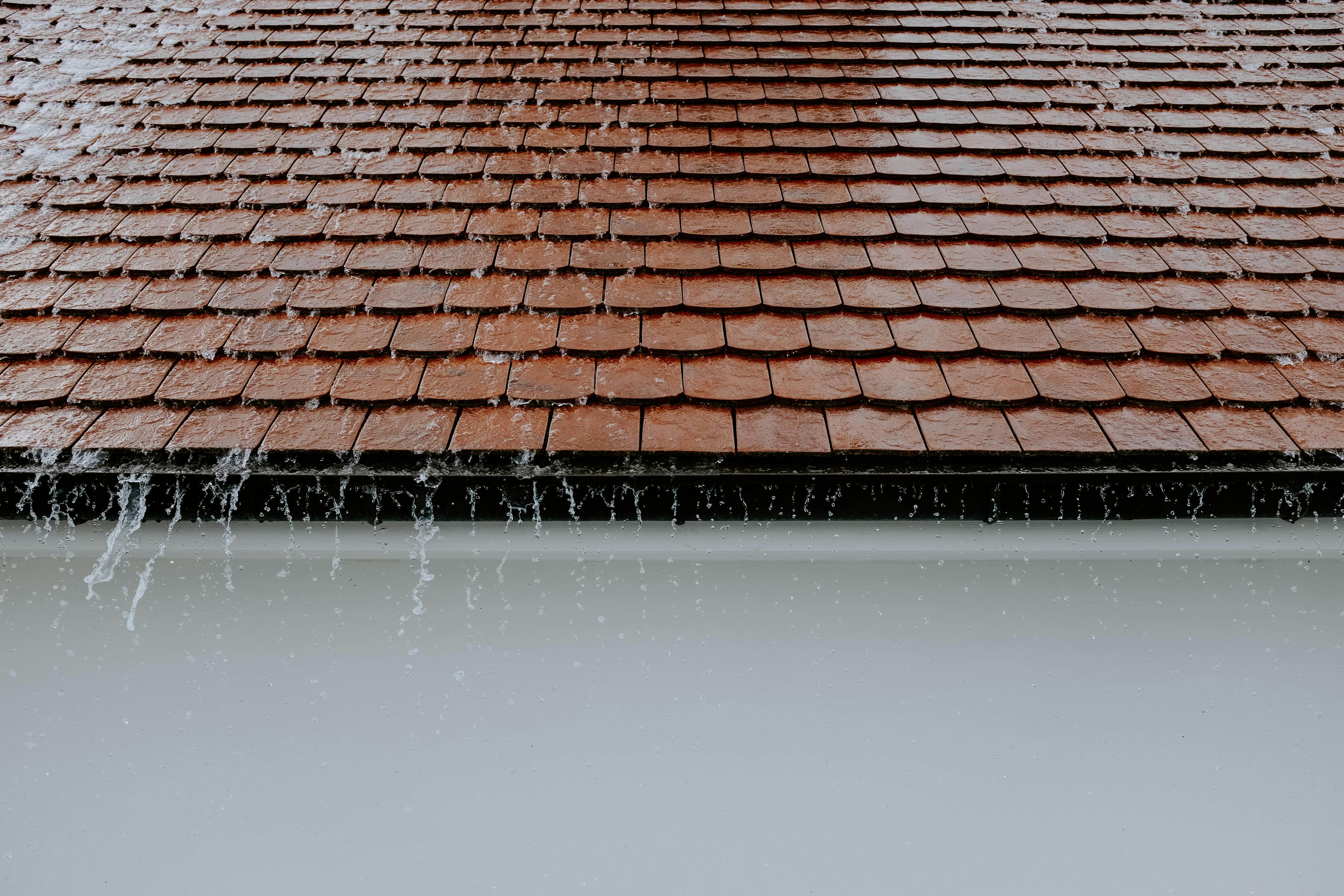 Why Florida Homes Need Quality Gutters More Than You Think